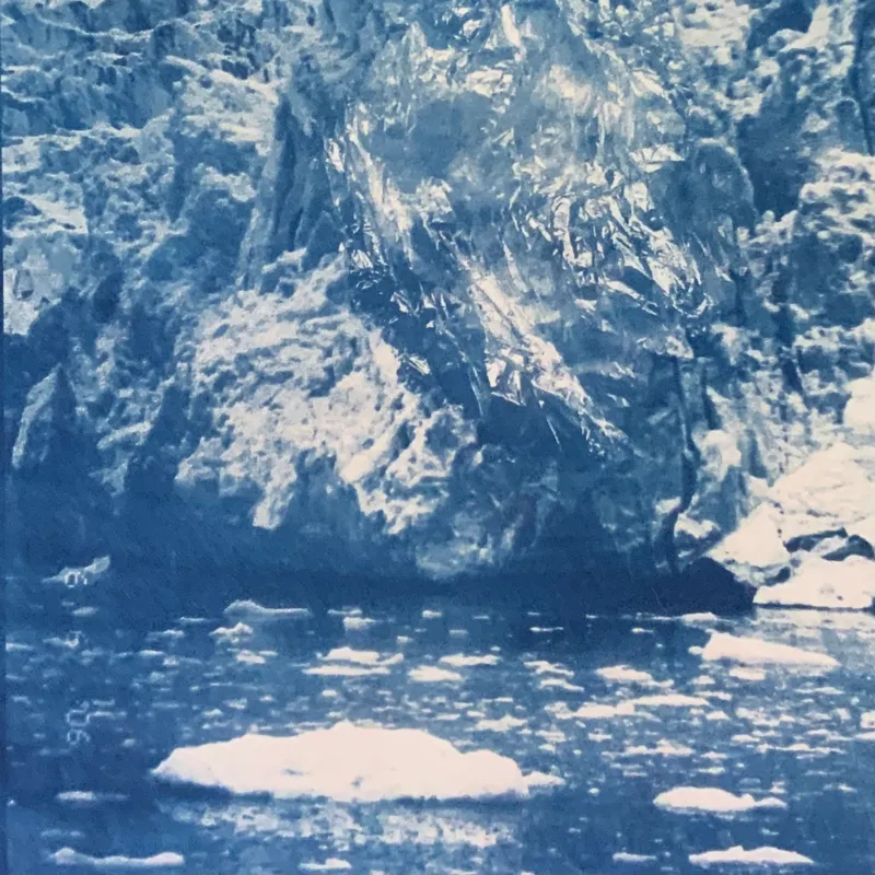 Garbage Glacier by Bridget Larrabee
